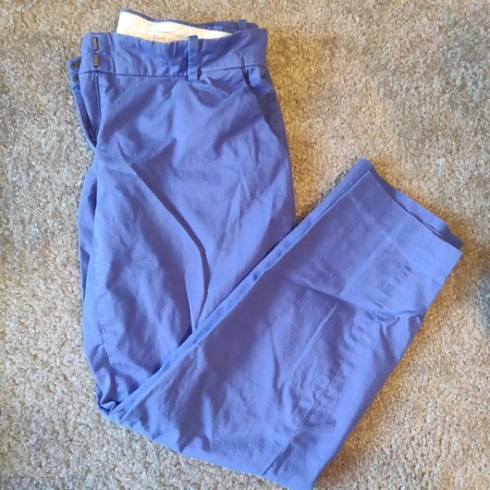J.Crew Blue Women’s Ankle Pant Size 2